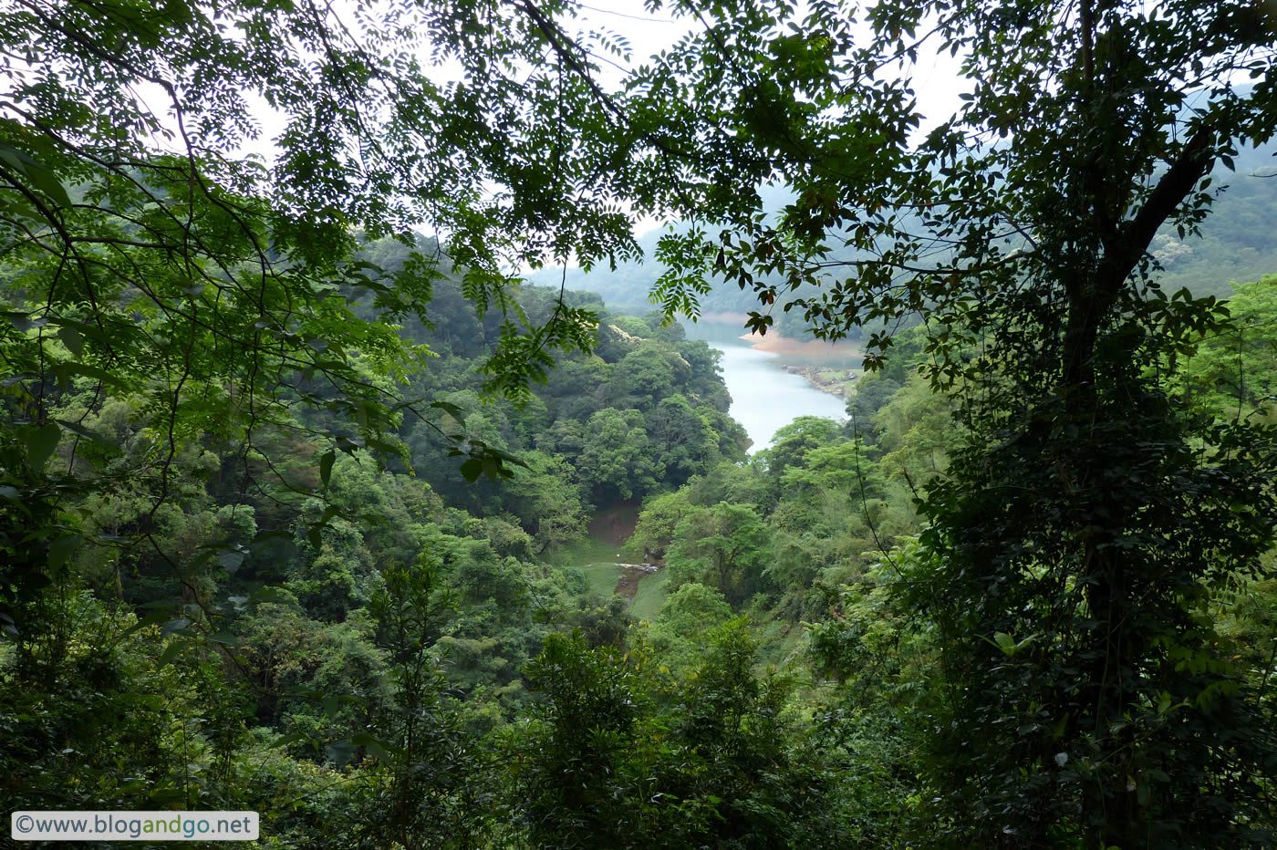 Shing Mun Reservoir - Gentle Hills Surround the Reservoir